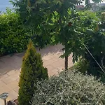 Διαμέρισμα Dandelion Brela