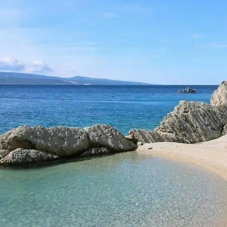 Dandelion Apartamento