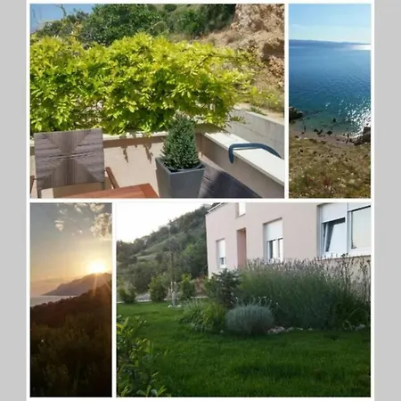 Appartement Dandelion *