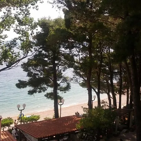 Dandelion Appartamento