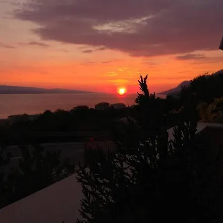 Appartamento Dandelion