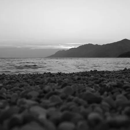 Appartamento Dandelion *