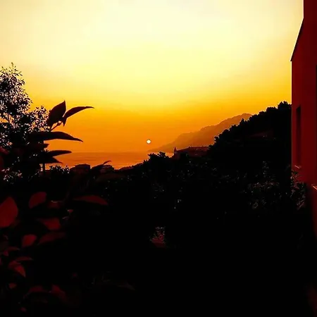 Dandelion شقة بريلا