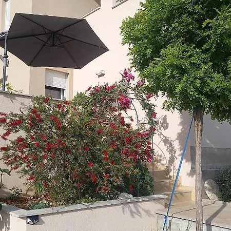 Dandelion Apartment Brela