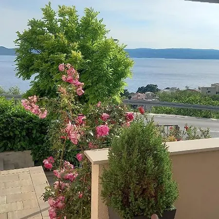 Dandelion Apartamento *