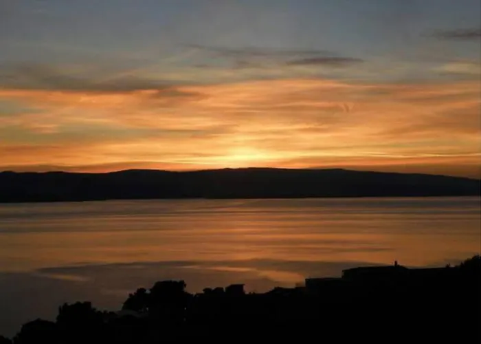 Dandelion 아파트 브렐라