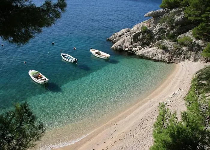 아파트 Dandelion 브렐라