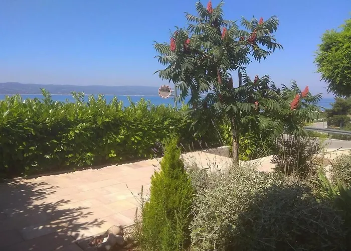 Dandelion 아파트 브렐라