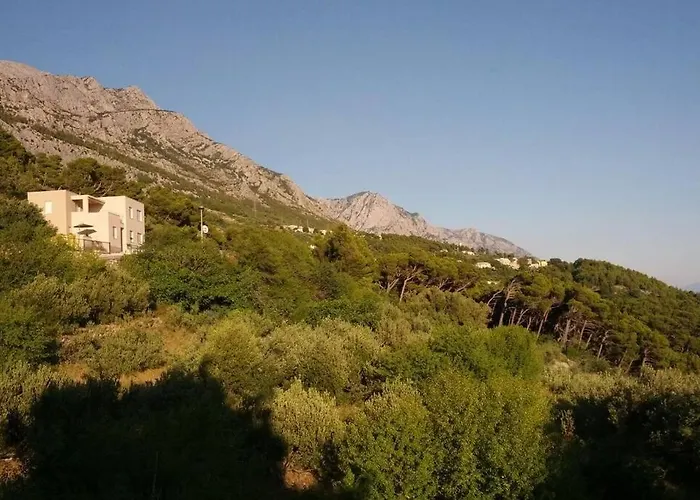 Dandelion 아파트 브렐라