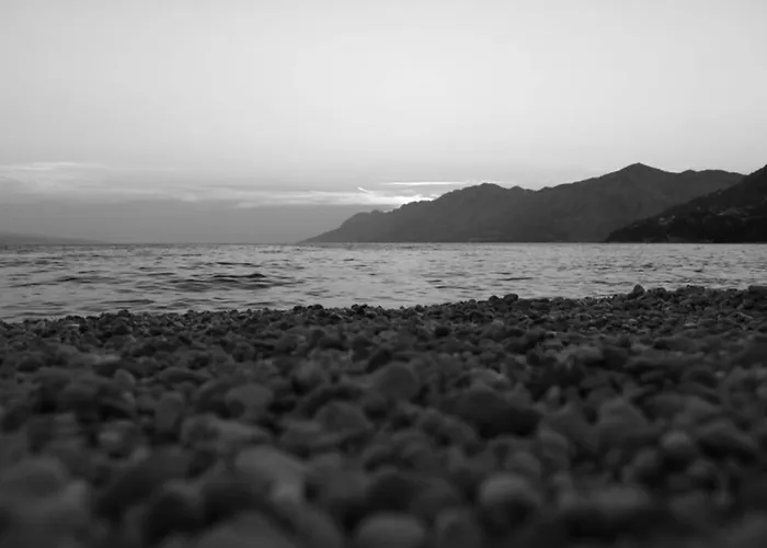 아파트 Dandelion *