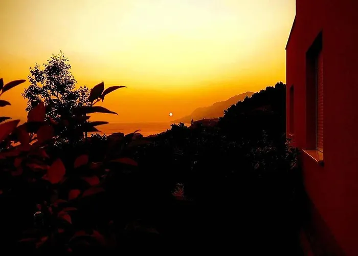 Dandelion 아파트 브렐라