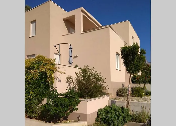 Dandelion * 브렐라