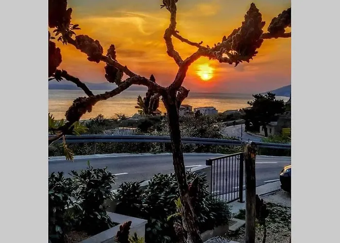 아파트 Dandelion 브렐라