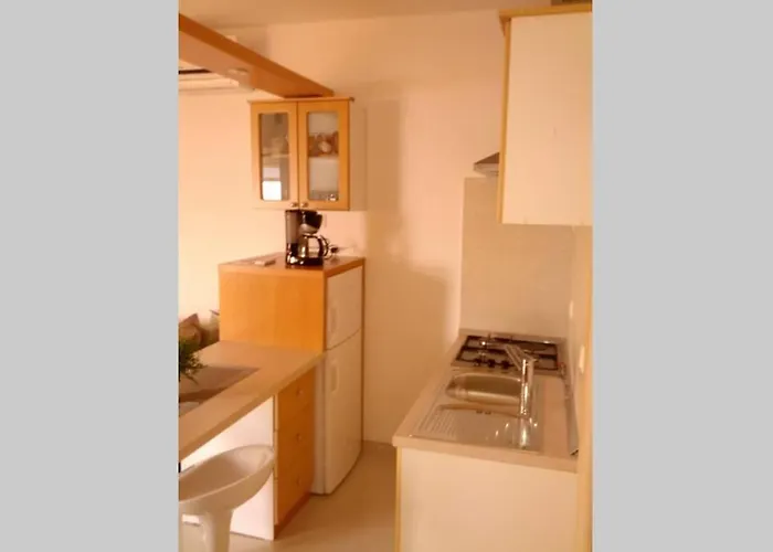 Dandelion * 브렐라