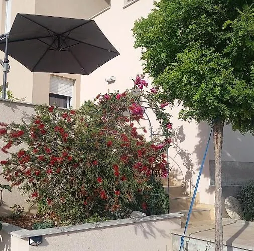 Dandelion 아파트 브렐라