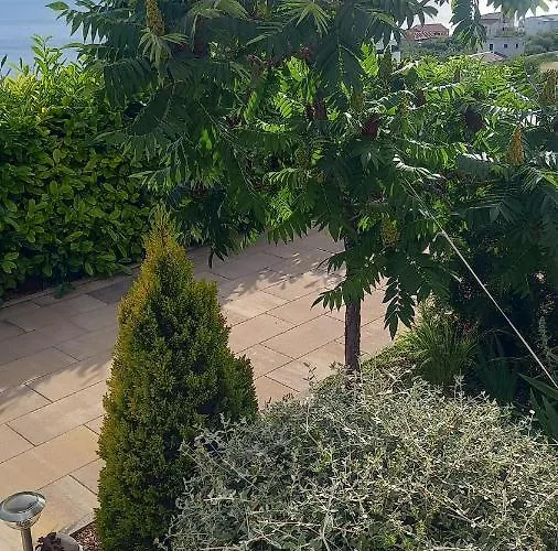 아파트 Dandelion 브렐라