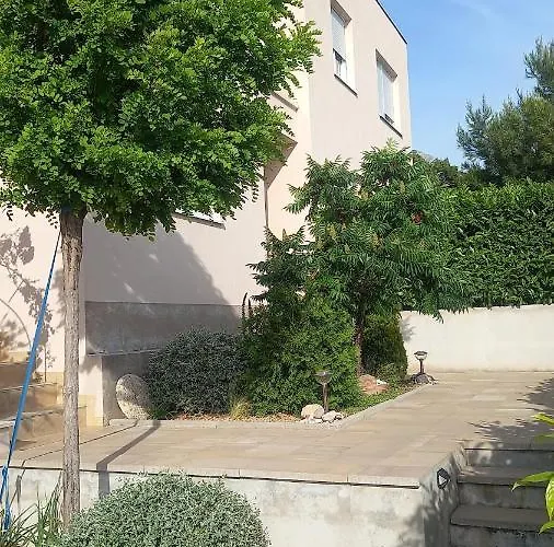 Dandelion * 브렐라